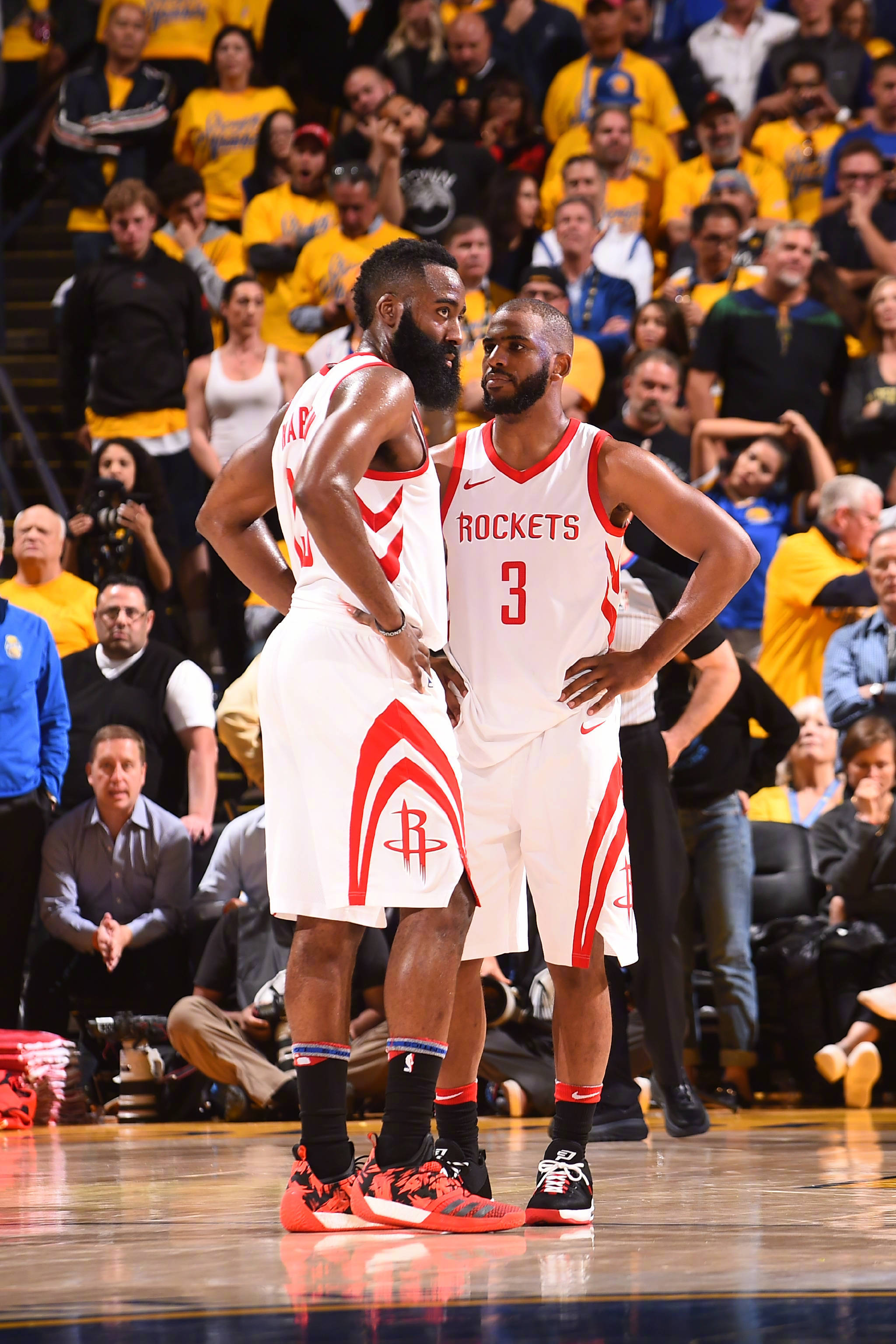 他所提交的 他所提交的